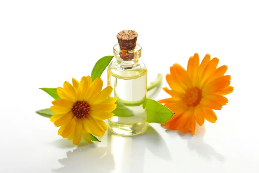 Essential Oils for Period Cramps 2