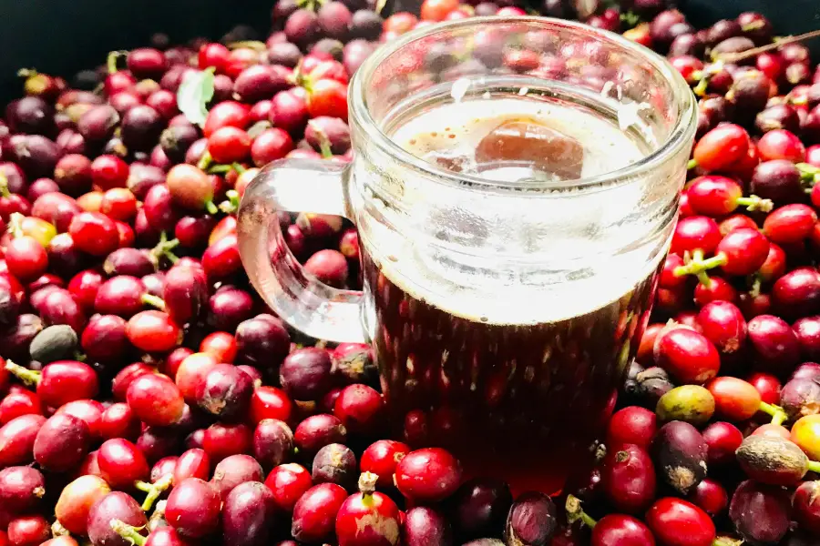 Does Cranberry Juice Help Yeast Infections